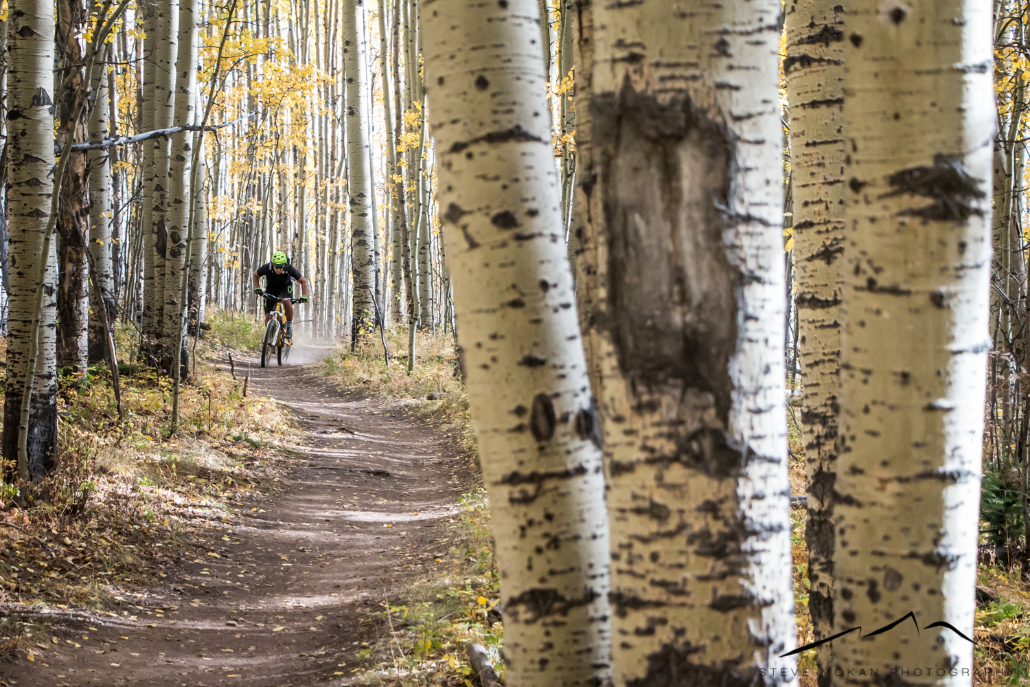 Colorado Mountain Biking