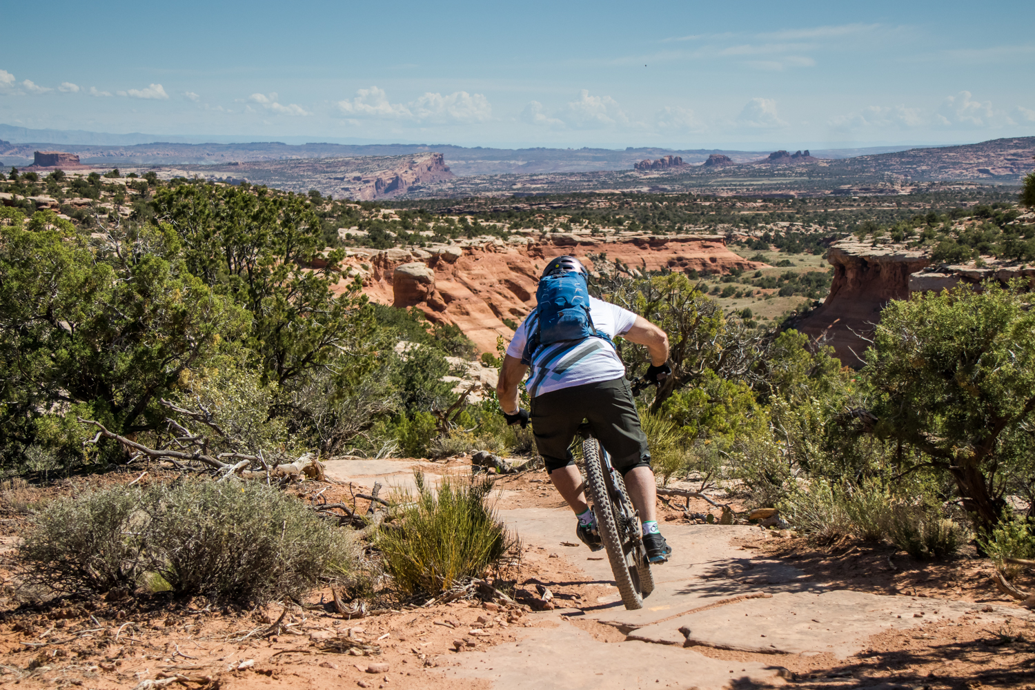 Spring mountain cheap bike park